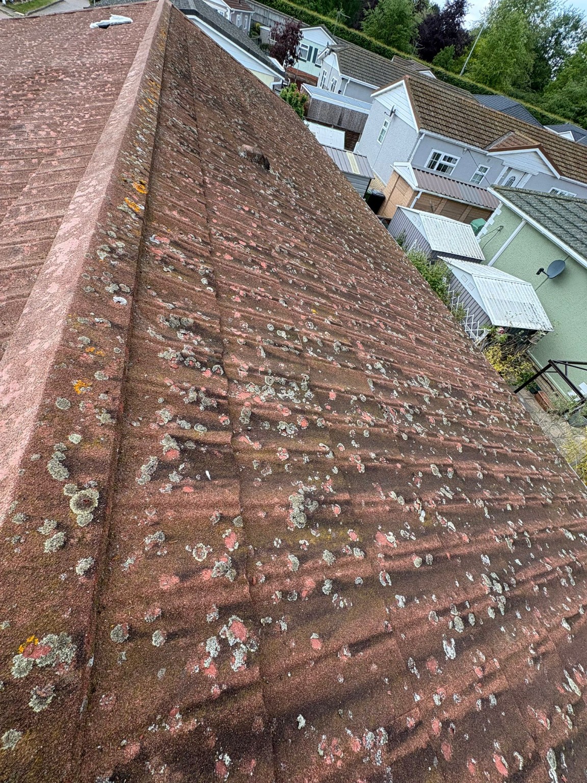 Park home roof covered in moss and lichen before cleaning